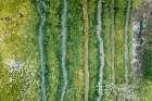 USA, Washington State, Port Townsend, Fort Worden SP. Weathered paint patterns on metal wall. Art Print